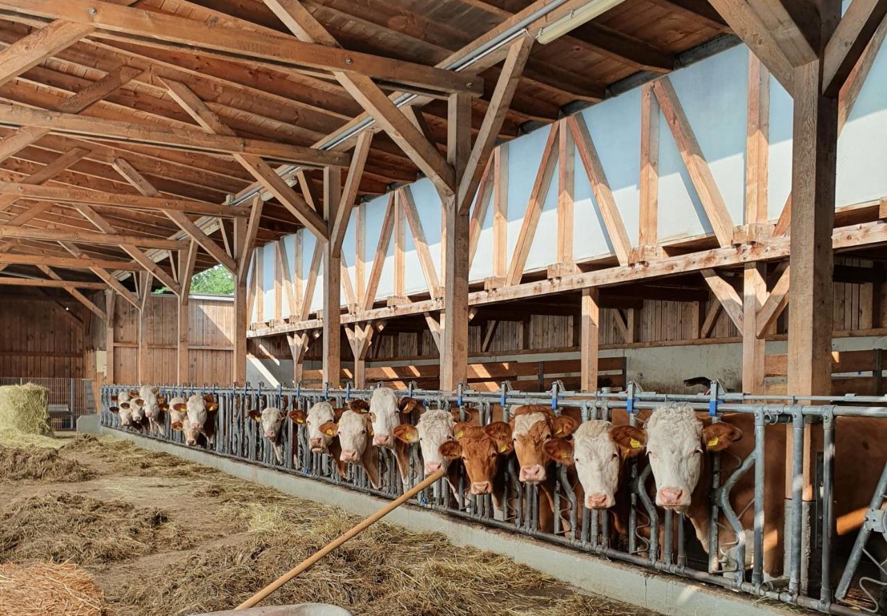 Ferienhof Leopold In Der Grub Ort im Innkreis Ngoại thất bức ảnh